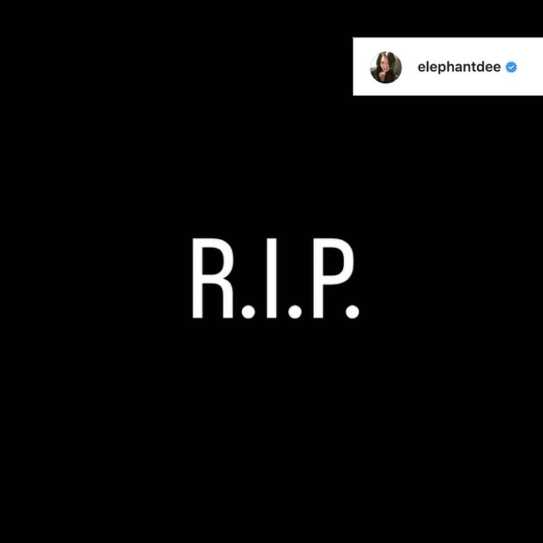 小S發文「R.I.P.」表示不捨與哀悼。（翻攝自小S IG）