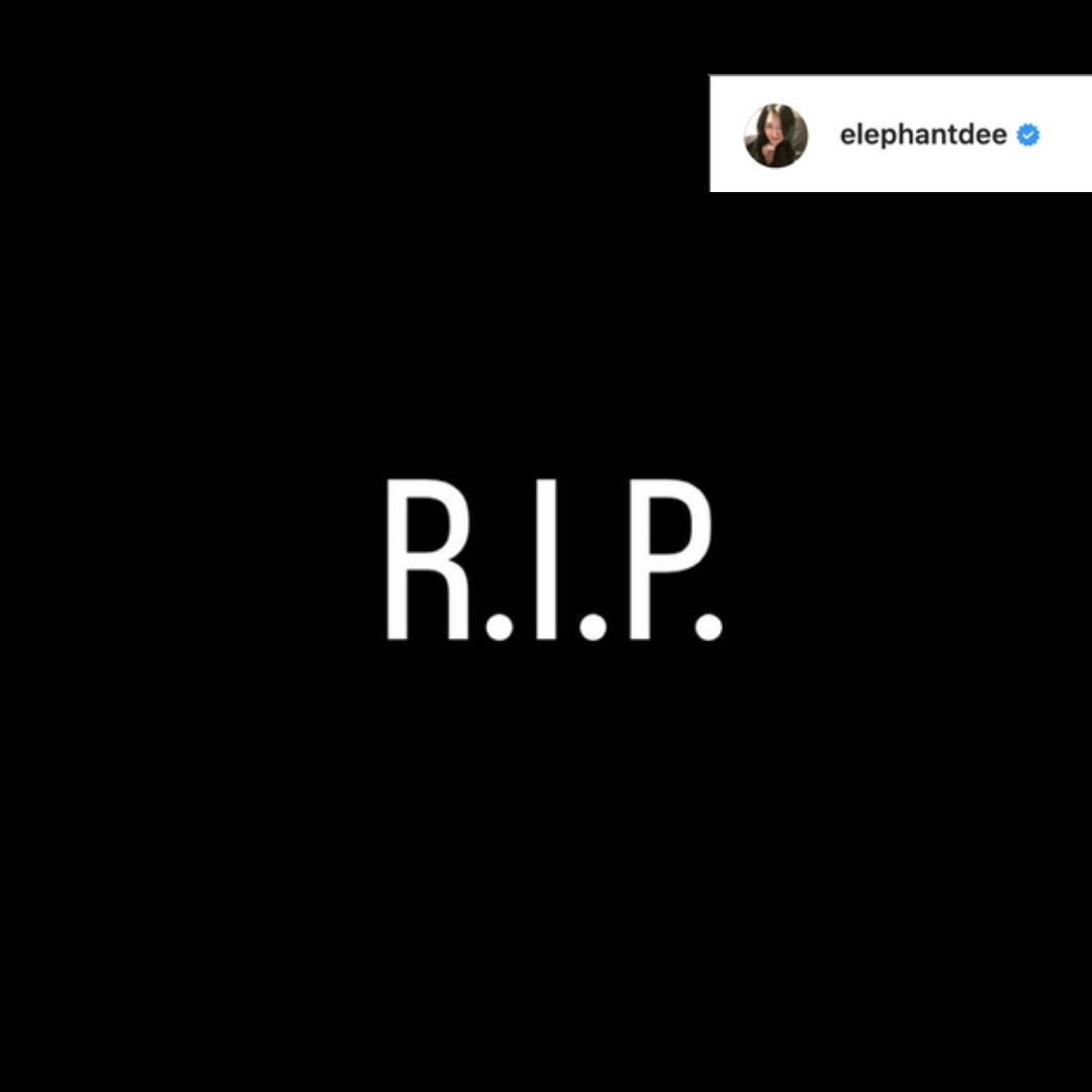 小S發文「R.I.P.」表示不捨與哀悼。(翻攝自小S IG)
