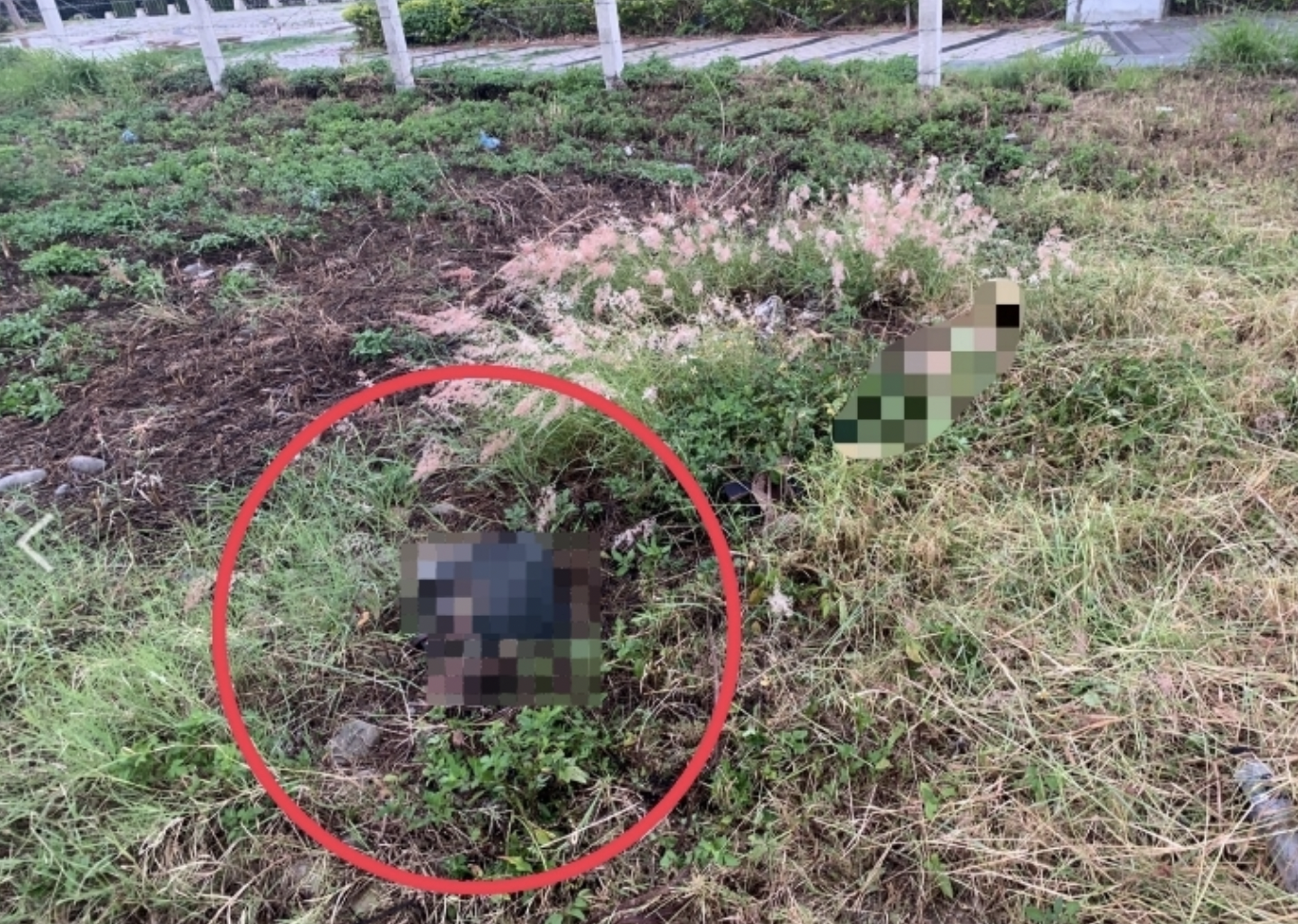 台中北屯區14期重劃區驚見裸露白骨。（翻攝記者爆料網）