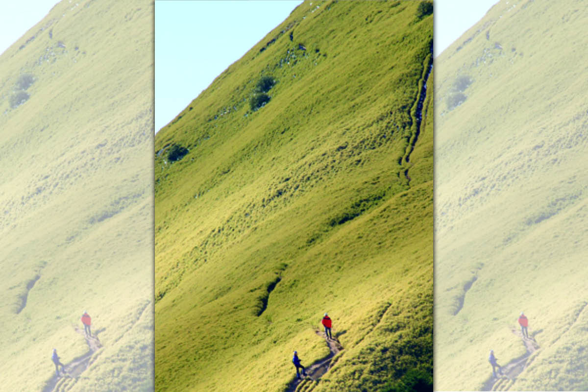 能高安東軍縱走頗具難度。能高山示意圖。（翻攝自台灣山林悠遊網）