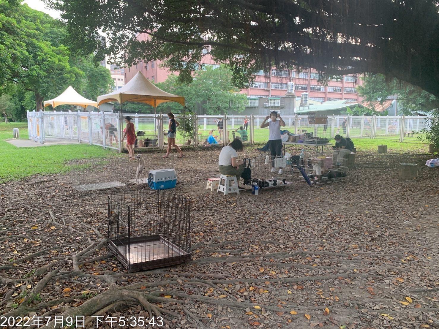 李姓愛媽長期於台北市華山狗公園旁空地送養犬貓。(台北市動保處提供)