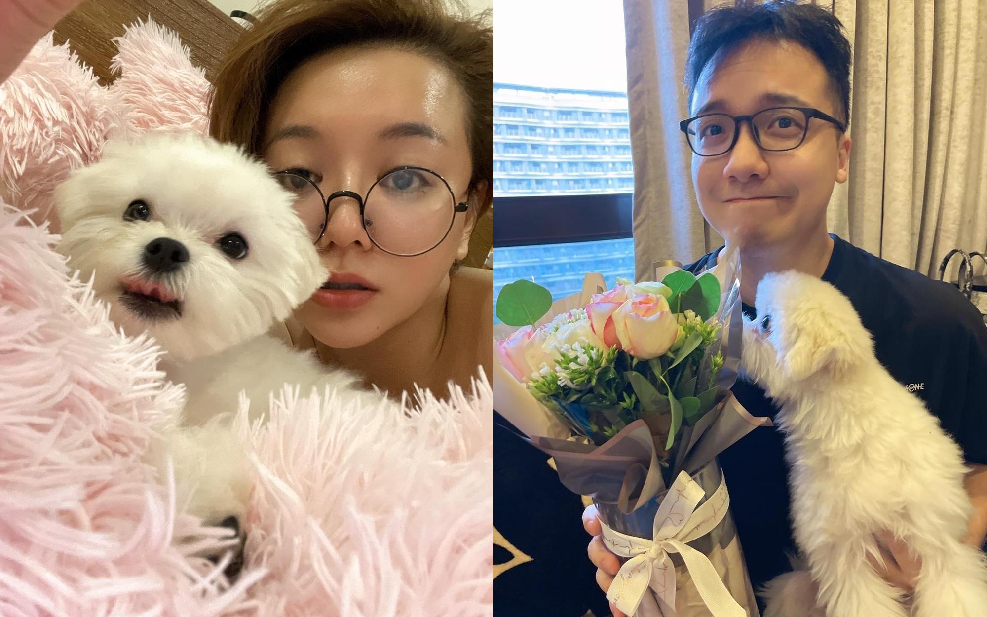 雪碧風暴之後，李妍瑾曬照說圤智雨帶狗、花跟衣服找她並送她，還問：「大家說說要不要原諒他？」（翻攝李妍瑾臉書）