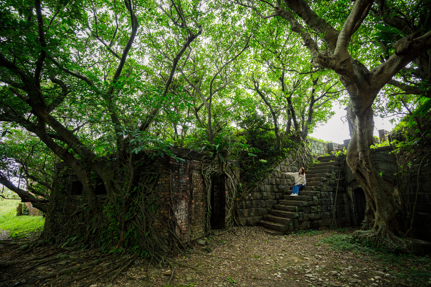 「社寮東砲台」隱身山野，場景卻令人震撼。