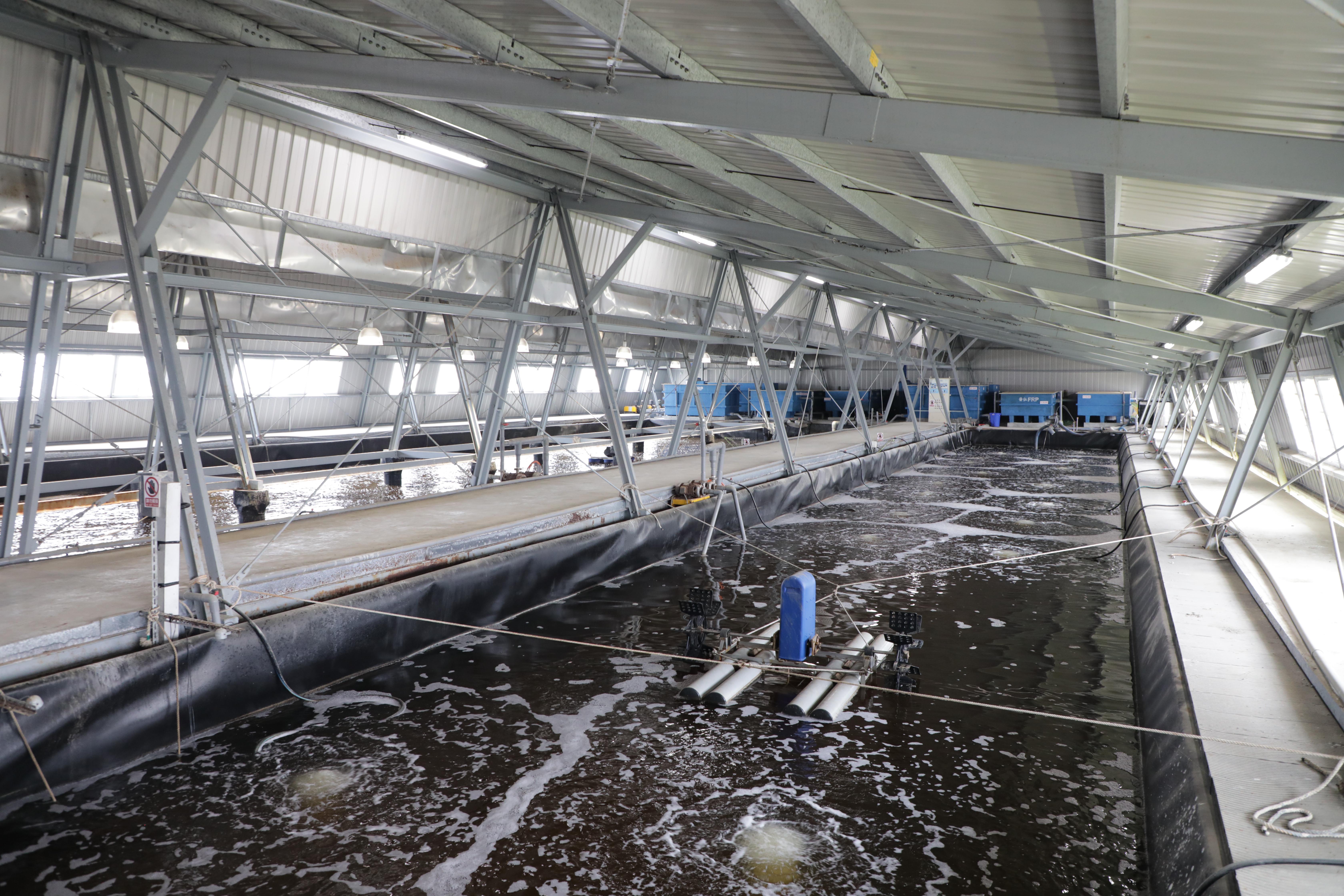 國內光電四大公協會表示，漁電共生絕不會滅漁滅村滅生態、不會掠奪養殖戶的工作權，更不是破壞環境生態的洪水猛獸。（翻攝自台南市政府官網）