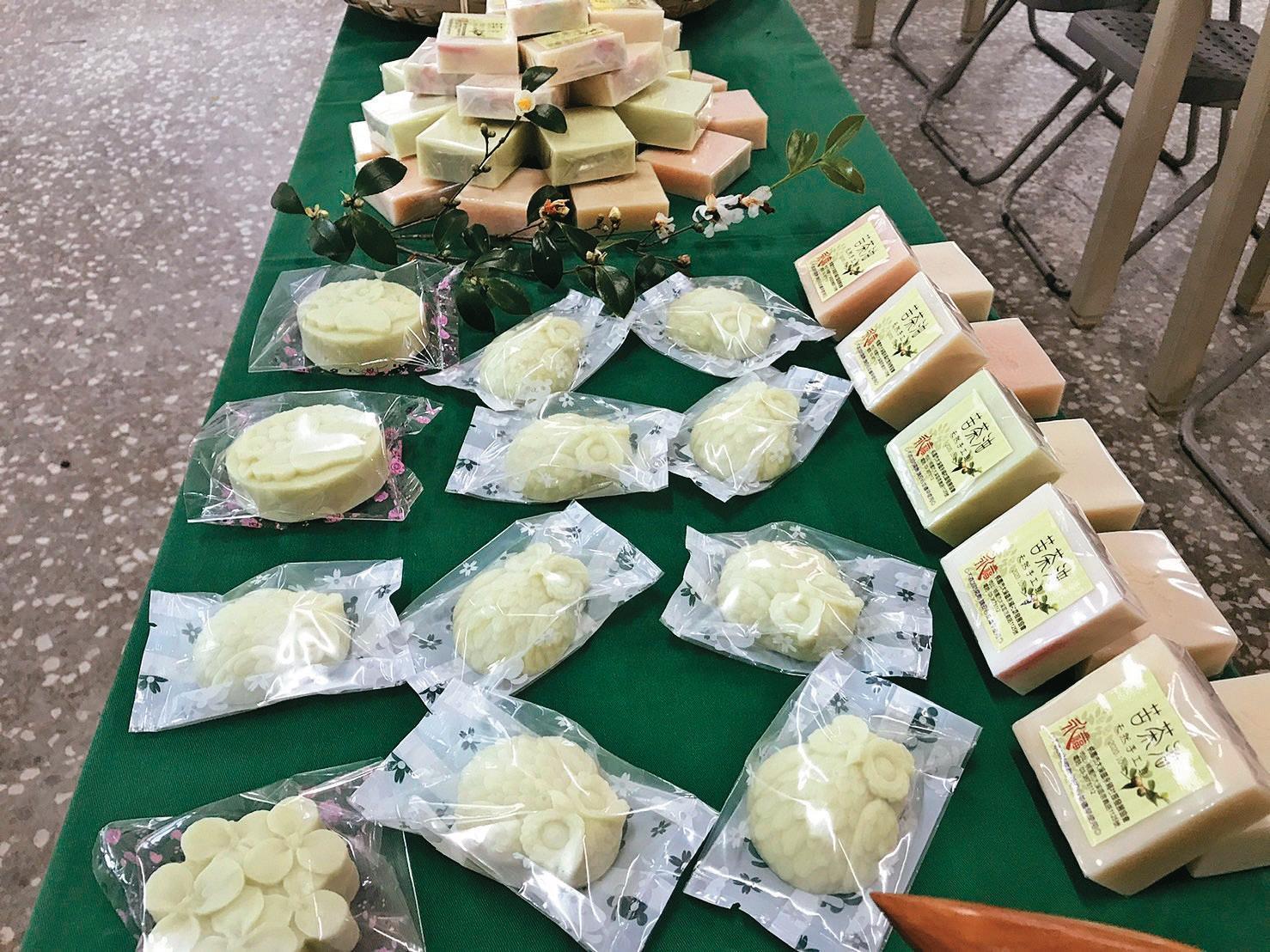 油茶樹具備多種用途,果實也是製皂的天然原料。(王在義提供)