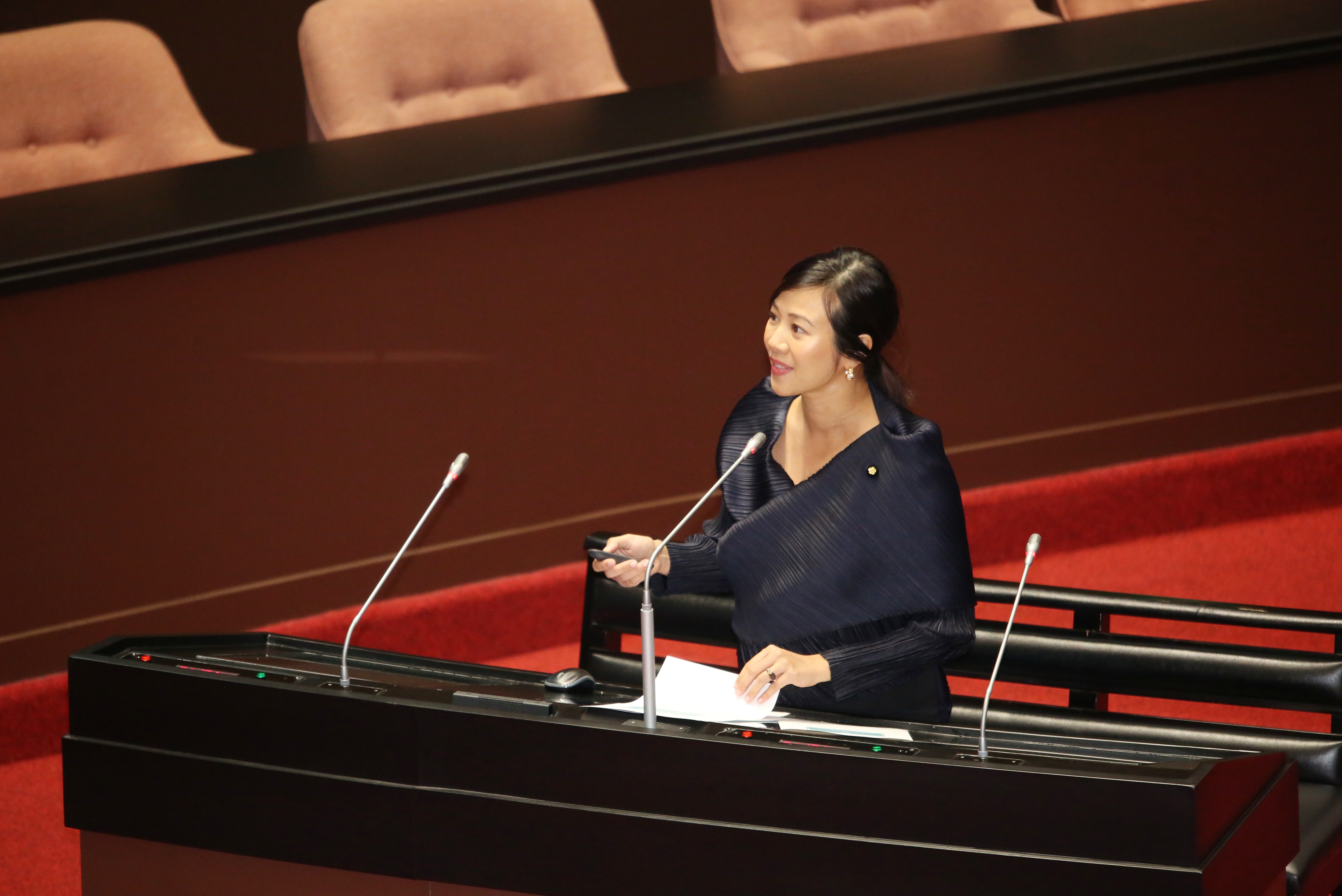 吳欣盈首度站上立院質詢台表現青澀，自承還要再努力。