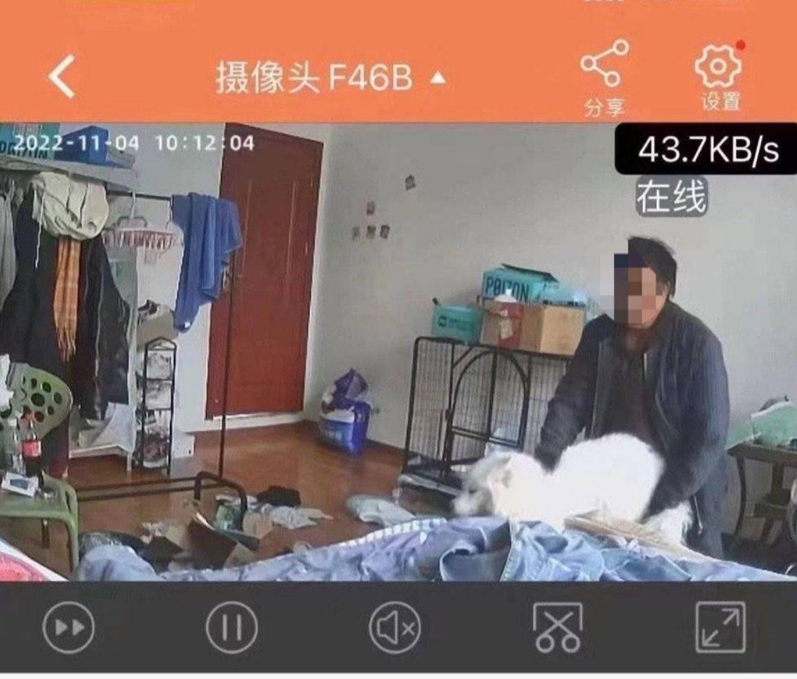 房東趁房客不在,直接進入房客的房裡性侵狗狗。(翻自推特)