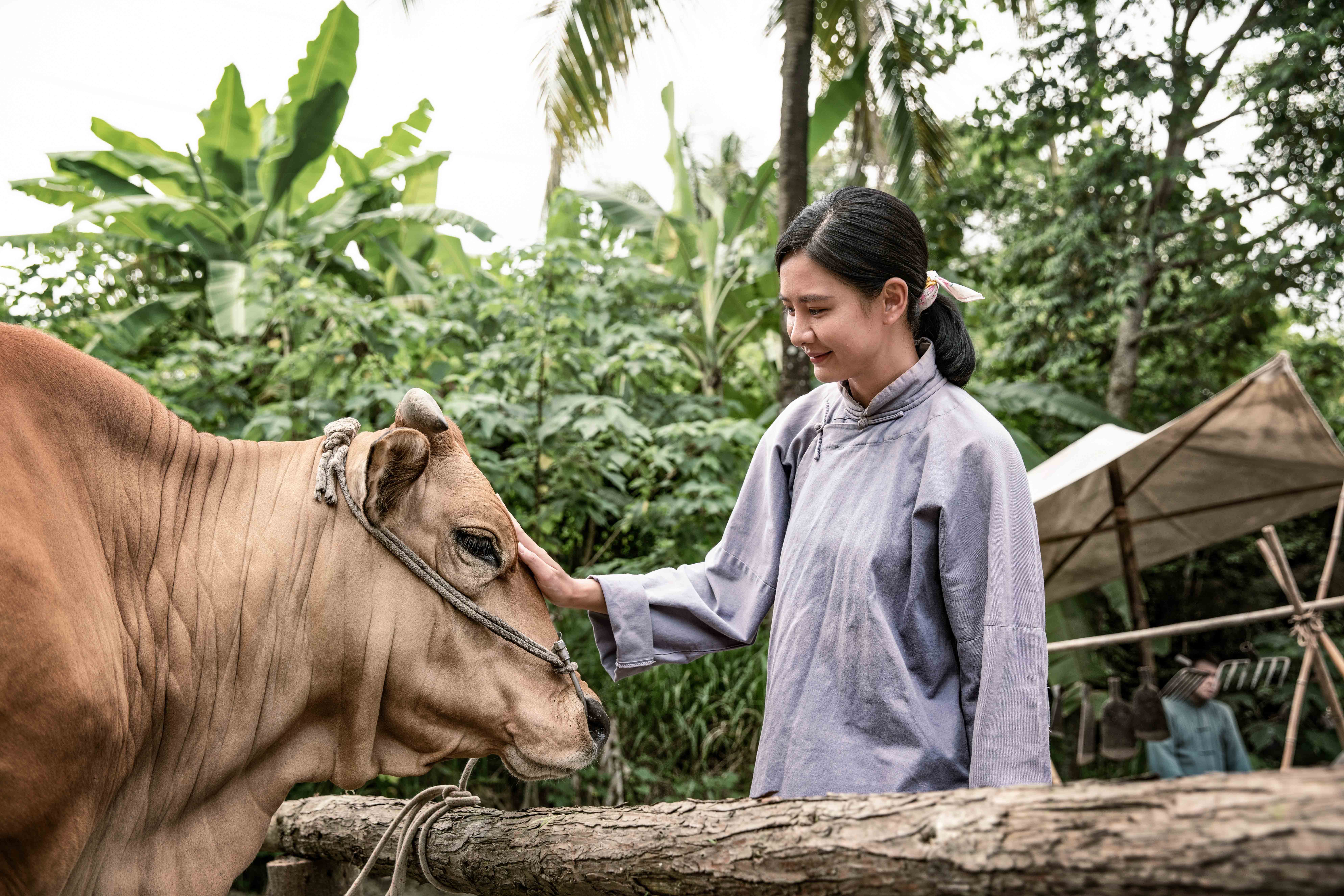 安心亞在《牛車來去》化身村姑與螢光幕前形象大為不同。（公視、禾豐製作提供）