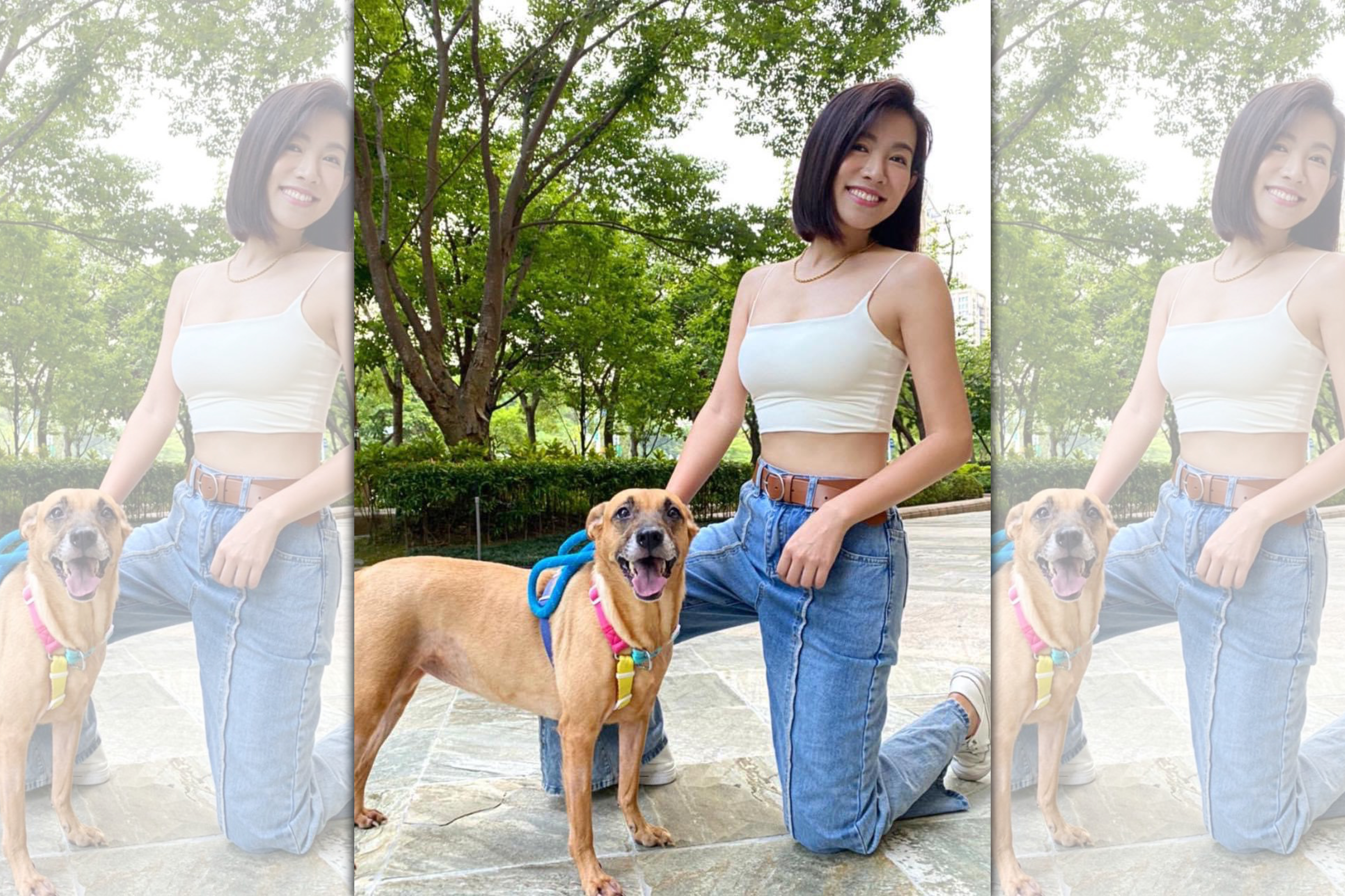 米可白愛狗成癡。（翻攝自米可白臉書）