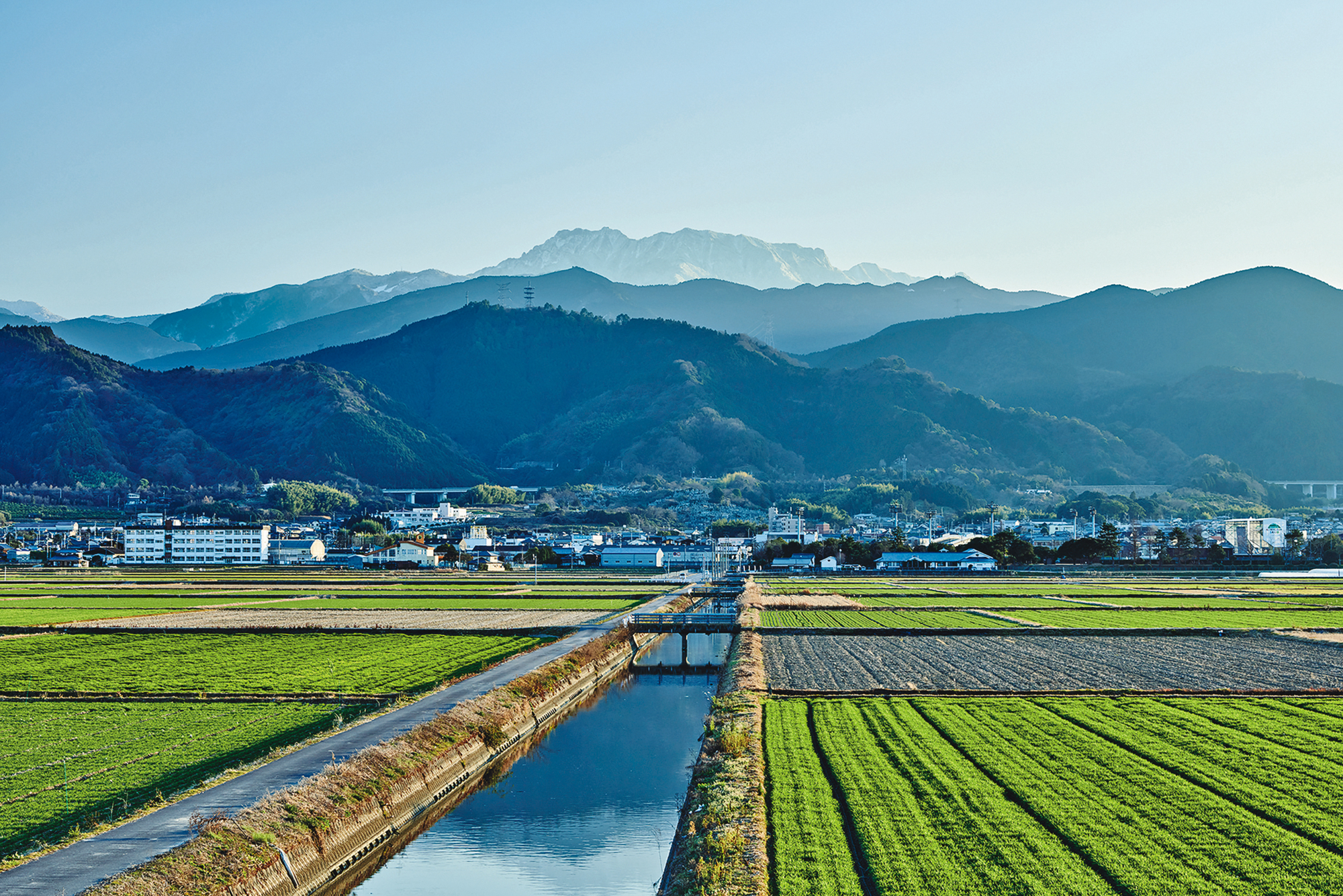 石鎚酒造以日本七大聖山之一的石鎚山命名，周圍是廣袤平原。（石鎚酒造提供）