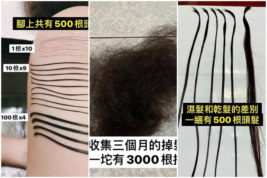 女網友花了3個月收集掉髮，再用6個晚上一根一根算出這段期間的掉髮量。（翻攝自臉書爆廢公社二館）