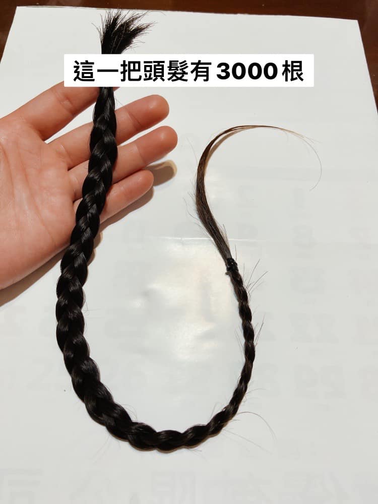 女網友花了3個月收集掉髮，再用6個晚上一根一根算出這段期間的掉髮量。（翻攝自臉書爆廢公社二館）