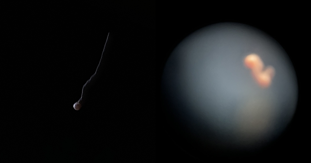 日本網友拍下的血月宛如受精、胎兒照。(翻攝自推特)