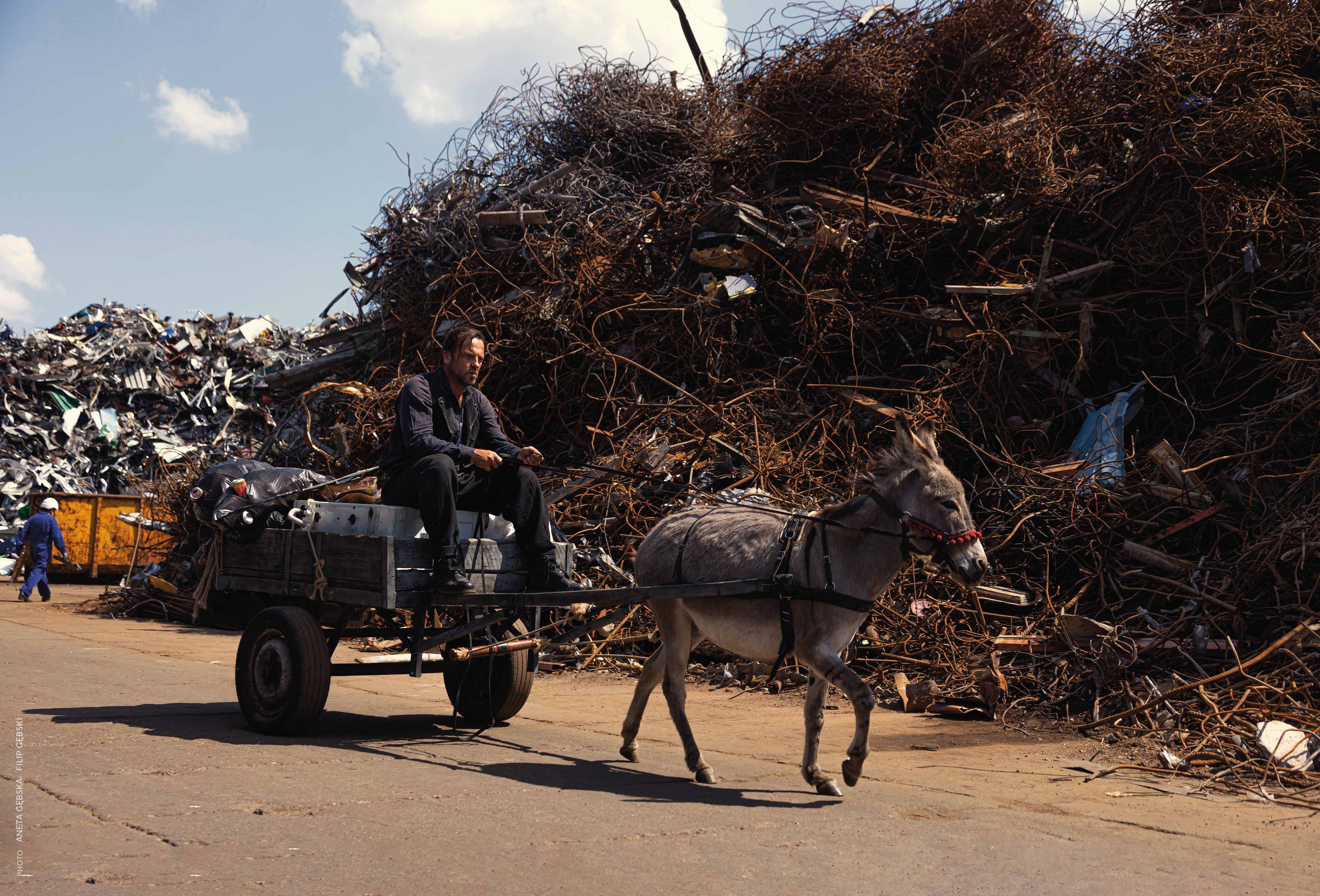 少見地以動物作為真人電影的主角，一隻驢子跋涉在波蘭和義大利交界的鄉間，尋找自由的路。（甲上提供）
