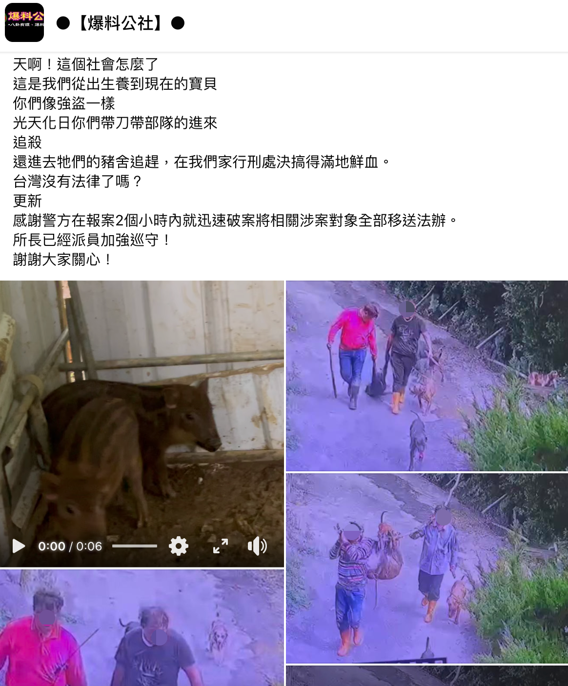 台南一名飼主的寵物豬好端端養在農舍,卻被一幫人闖入殺死。(翻攝自爆料公社臉書)