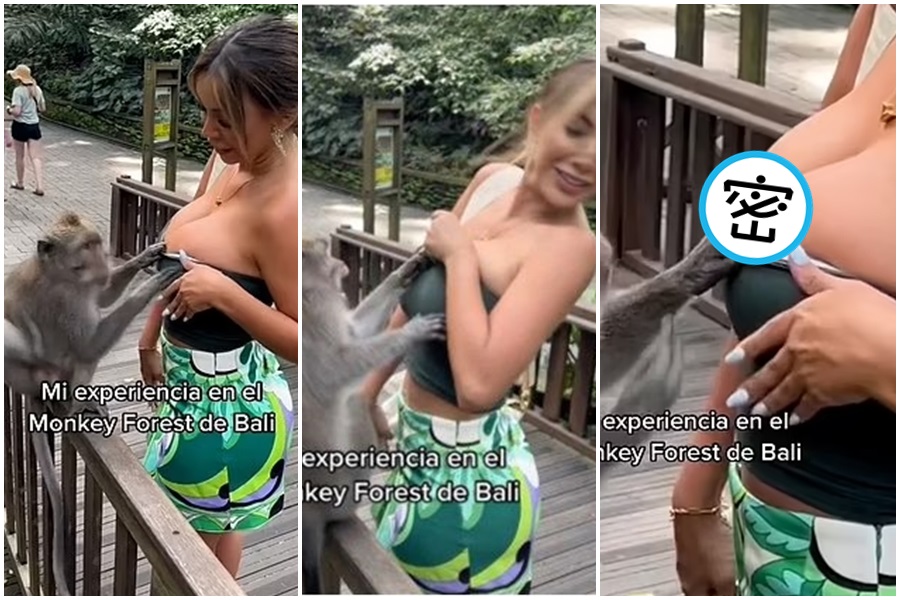 秘魯一名28歲女模寶拉原本想與獼猴合照未料被扯衣服。(翻攝自抖音)