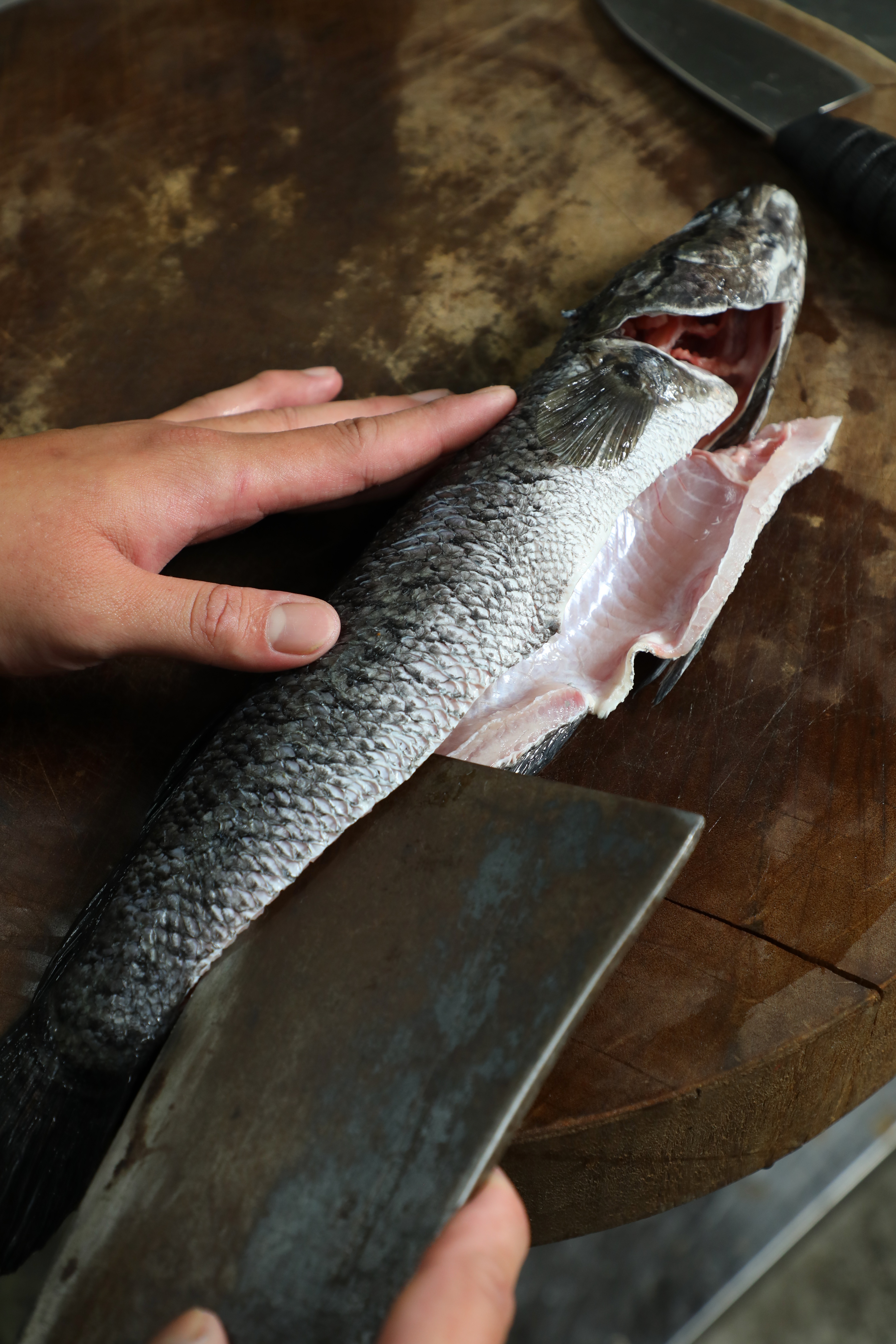 「魚火鍋」選用口感Q、扎實、少刺的黑魚。