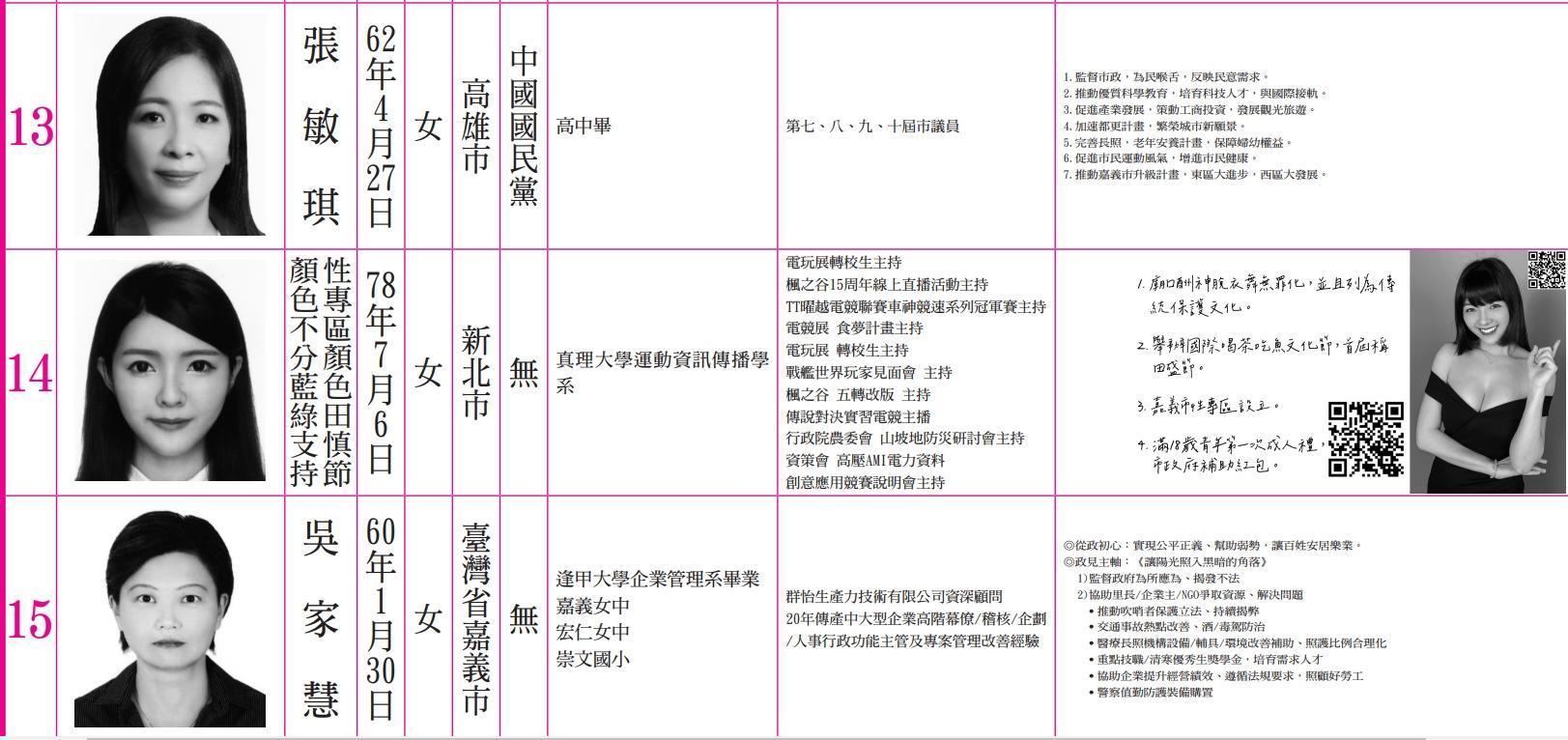 「顏色不分藍綠支持性專區顏色田慎節」在政見欄位放上低胸洋裝美照。（翻攝中選會網站）