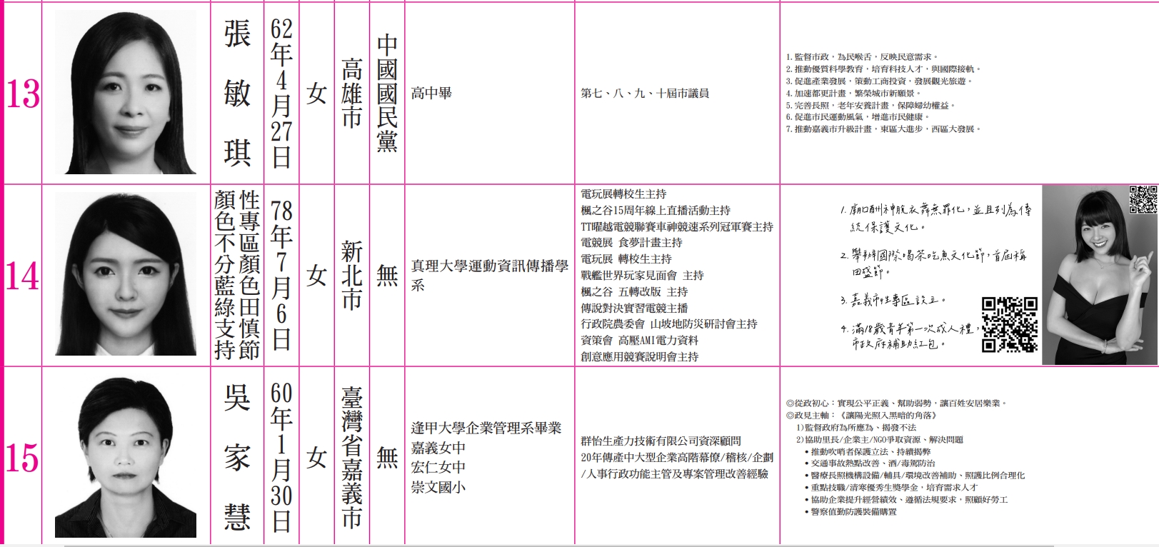 「顏色不分藍綠支持性專區顏色田慎節」在政見欄位放上低胸洋裝美照。（翻攝中選會網站）