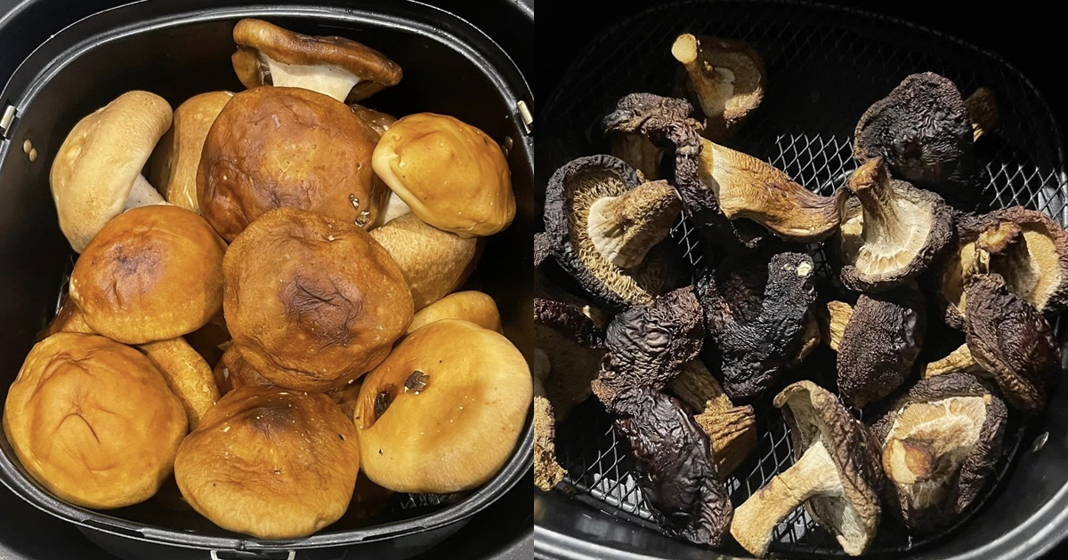網友將鮮香菇丟進氣炸鍋用100度烘烤成乾香菇，卻慘遭吐槽。（翻攝自Costco好市多 商品經驗老實說臉書）