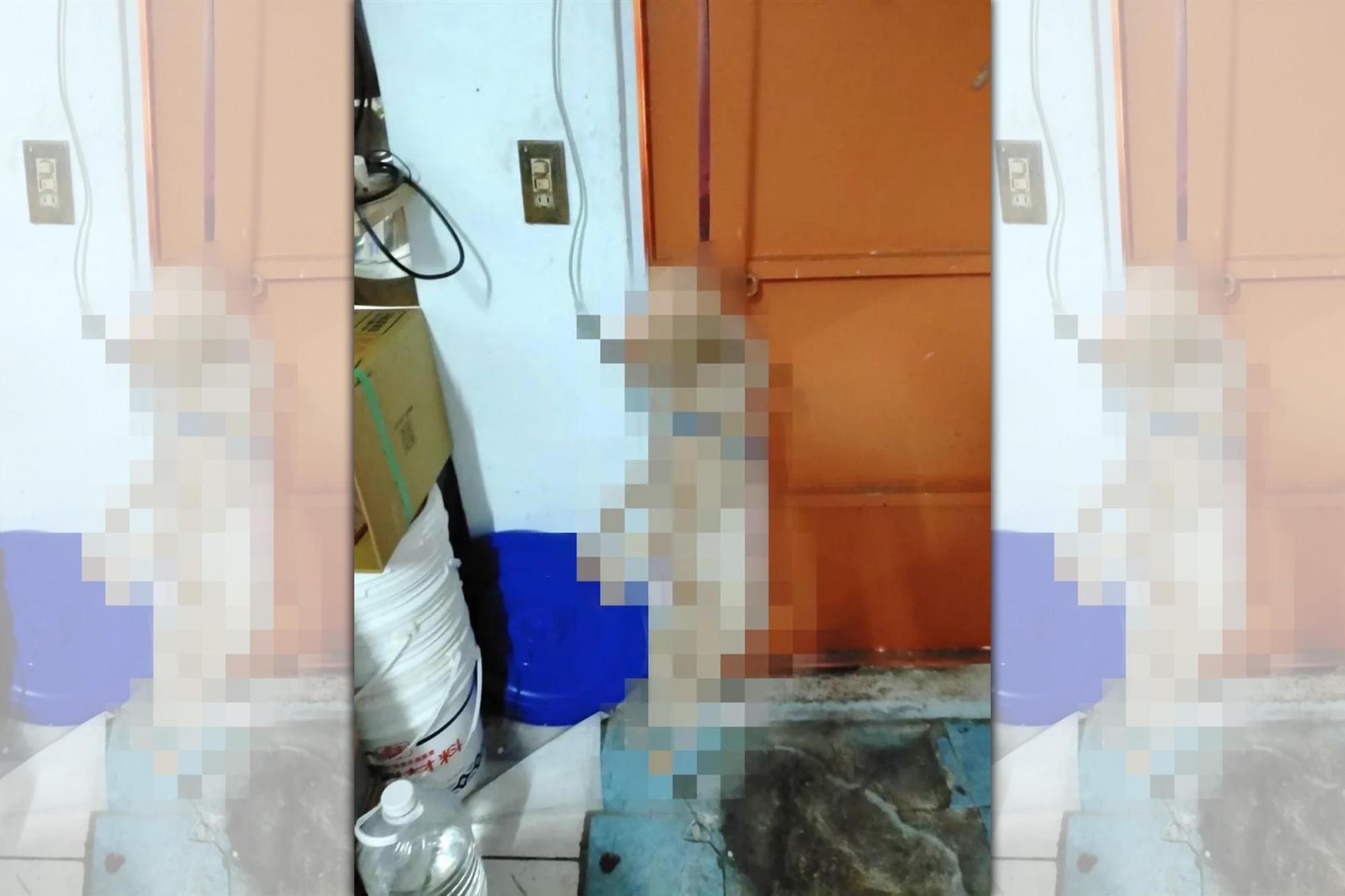 新北一名郭姓男子因不滿吳姓女友外出打麻將,將女友小孩飼養的紅貴賓吊死在門上。(翻攝臉書)