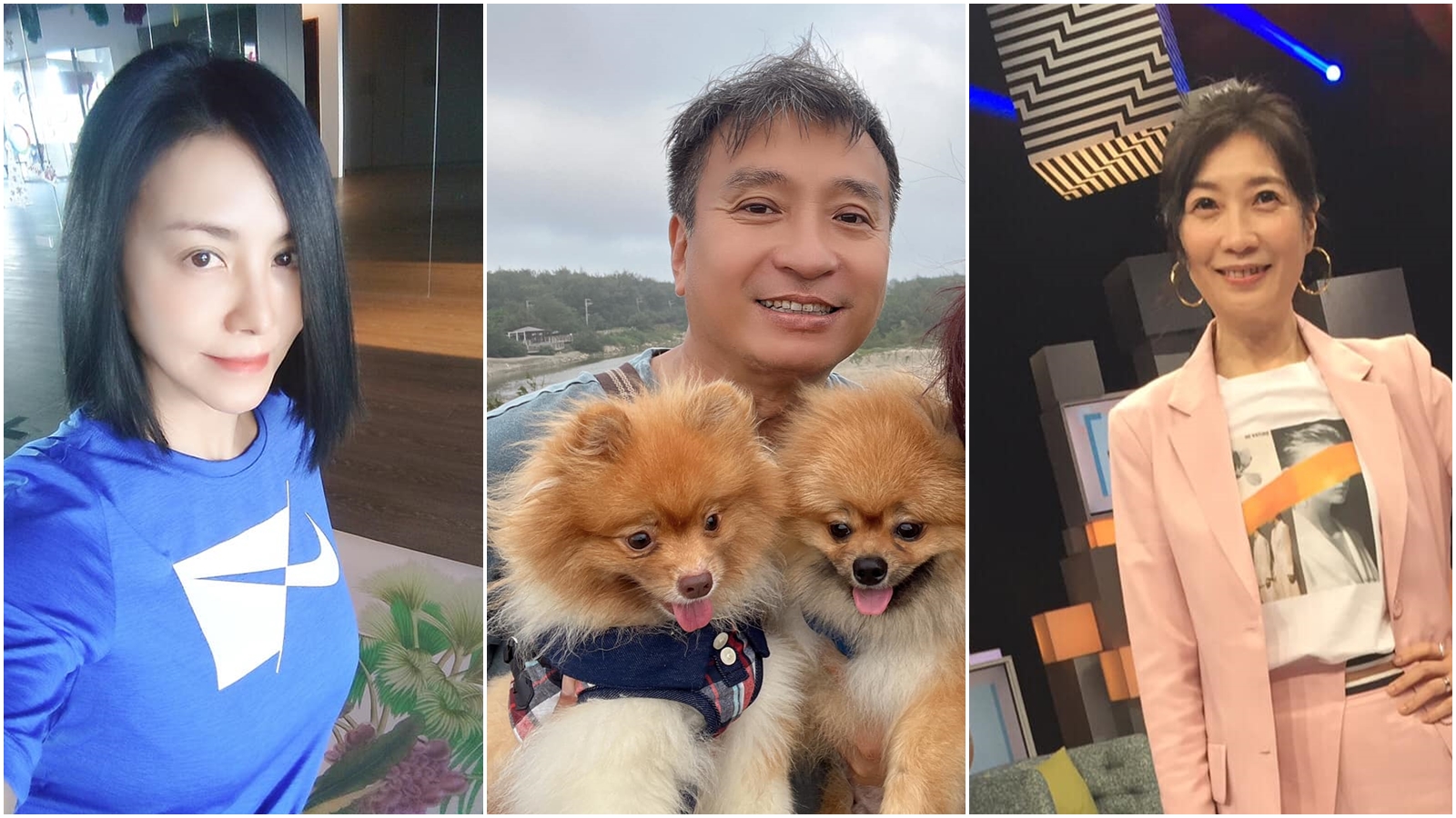 不少藝人都有投資房地產。（翻攝自黃嘉千、田麗、王中平臉書）