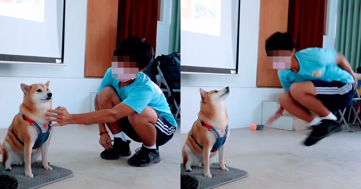 怕狗的男同學嘗試摸狗，卻被狗狗的小動作嚇到彈飛。（翻攝自Travel of Rice 小米遊記臉書）