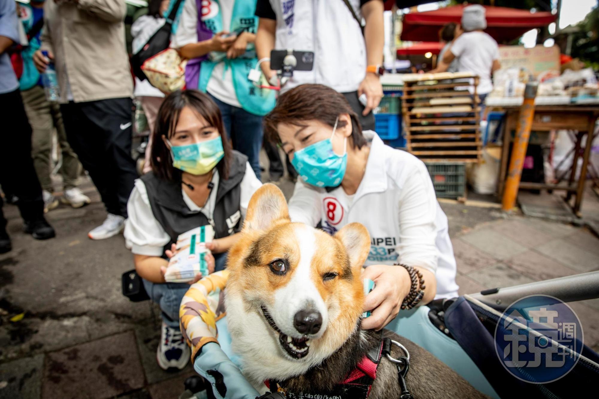 黃珊珊與民眾黨市議員候選人吳怡萱今在萬華與民眾互動。