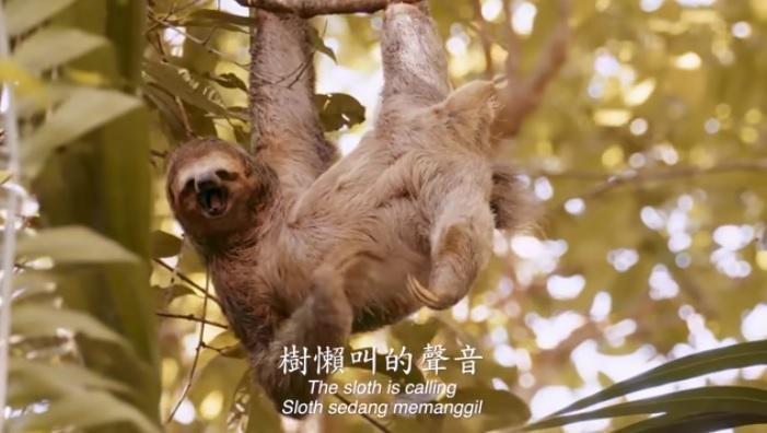 黃明志擅長在歌詞中加入讓粉絲看了會害羞的暗示性用語。(翻攝自黃明志Namewee YouTube)