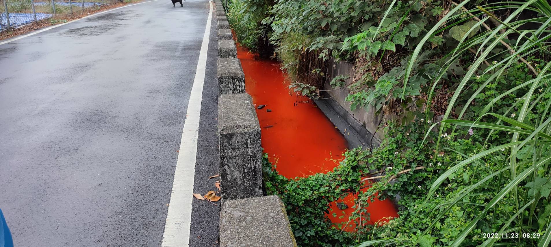 當地居民早起散步，被這景象嚇傻，獲報後也到場稽查。（翻攝自曹嘉豪臉書）