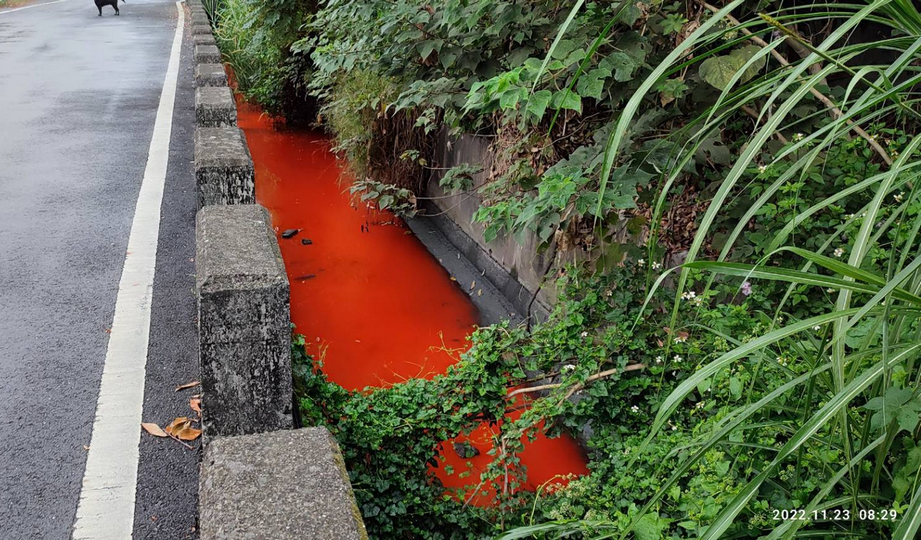 彰化縣員林市一處灌溉溝渠驚見被染成一片鮮紅。（翻攝曹嘉豪臉書）