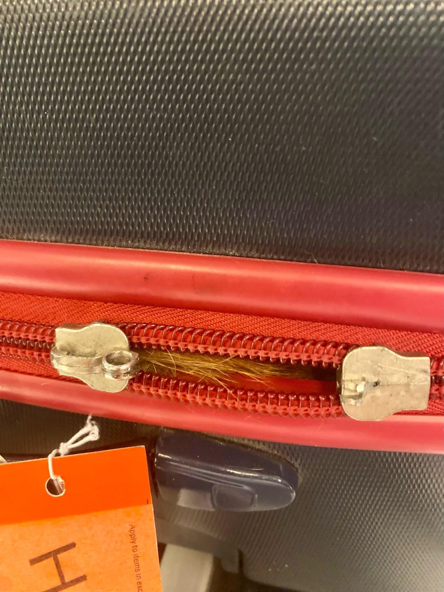 橘貓的毛從行李箱中冒出一角。(翻攝自TSA Twitter)