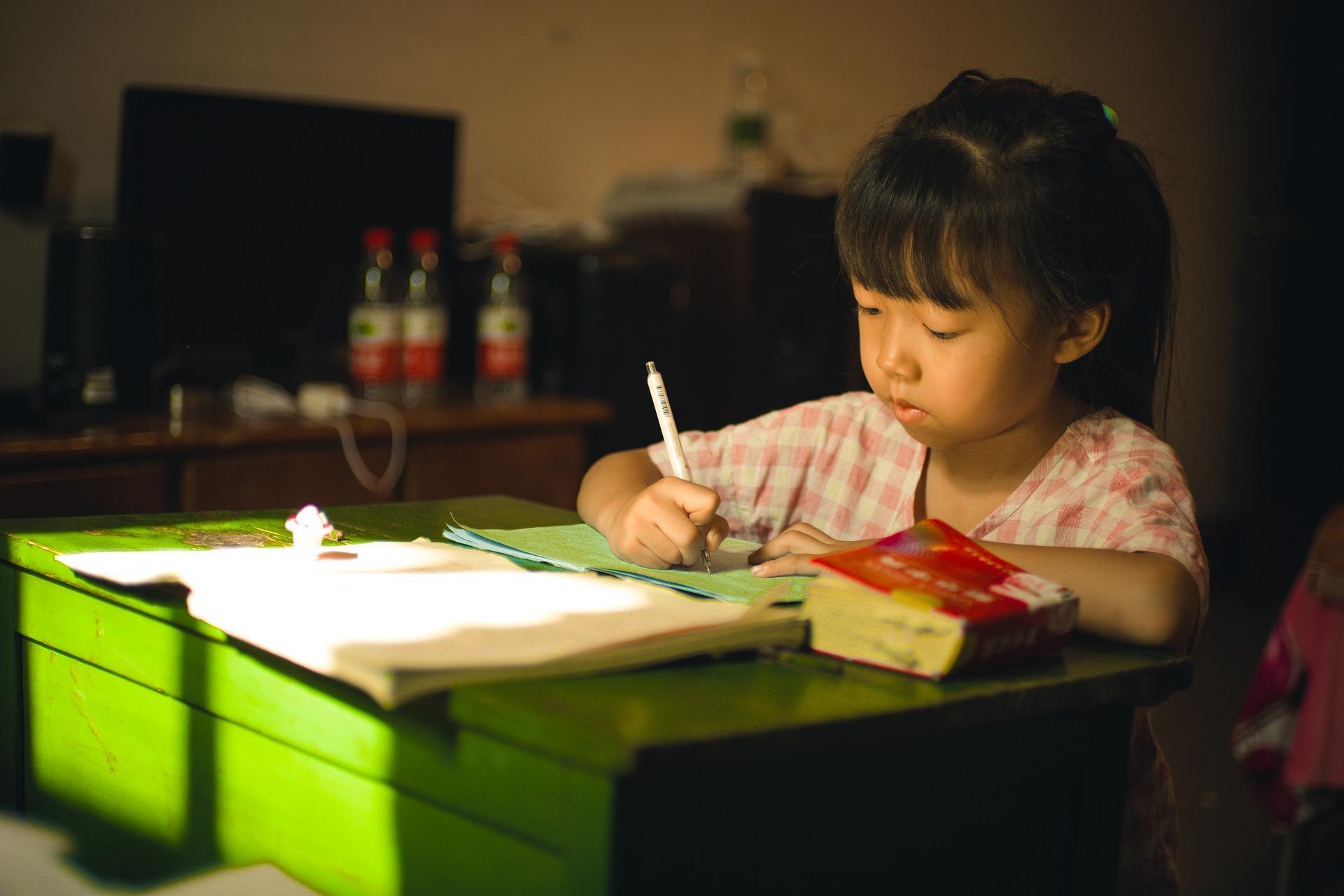 一名網友貼出朋友侄子的作業本；示意圖，與當事人無關。（Pixabay／Image by b13923790）