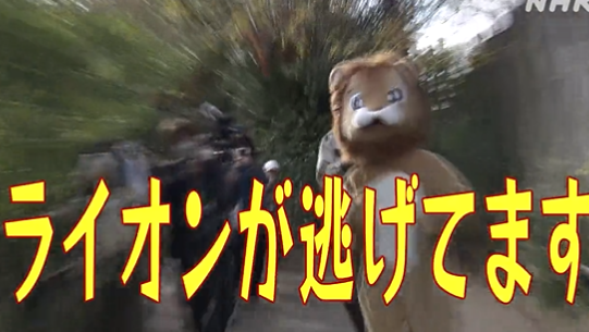 大阪天王寺動物園進行動物脫逃演習。(翻自推特)