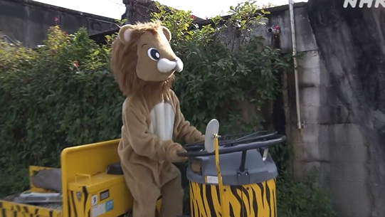 獅子還會玩車。(翻自推特)