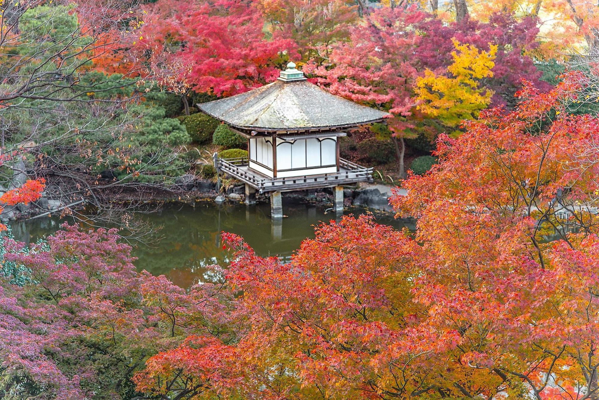 和歌山城紅葉溪庭園美如畫。（和歌山縣觀光交流課提供）
