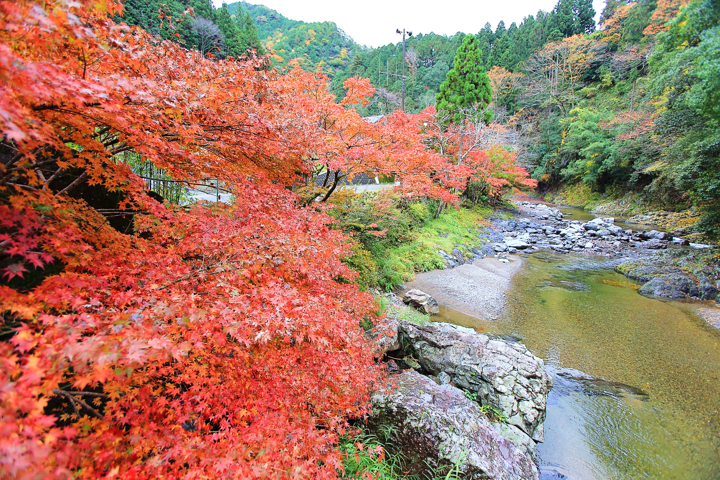 「玉川峽」源於世界遺產高野三山之一的摩尼山上游溪谷丹生川。(橋本市役所提供)