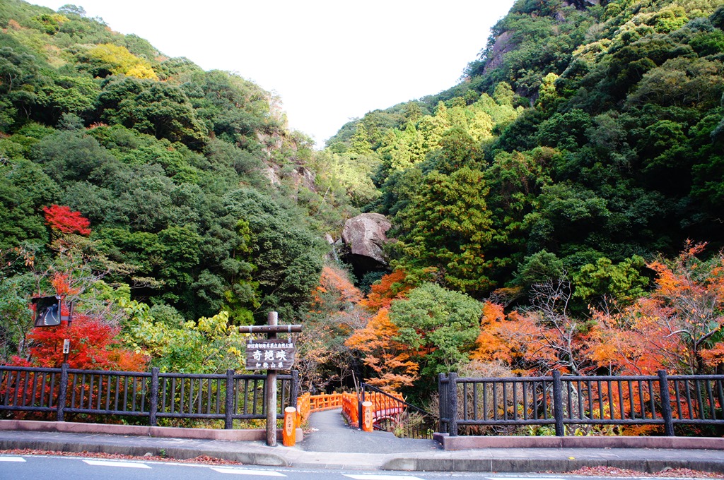 一枚岩前的楓葉景象，有著不同他處的面貌。（田邊市役所提供）