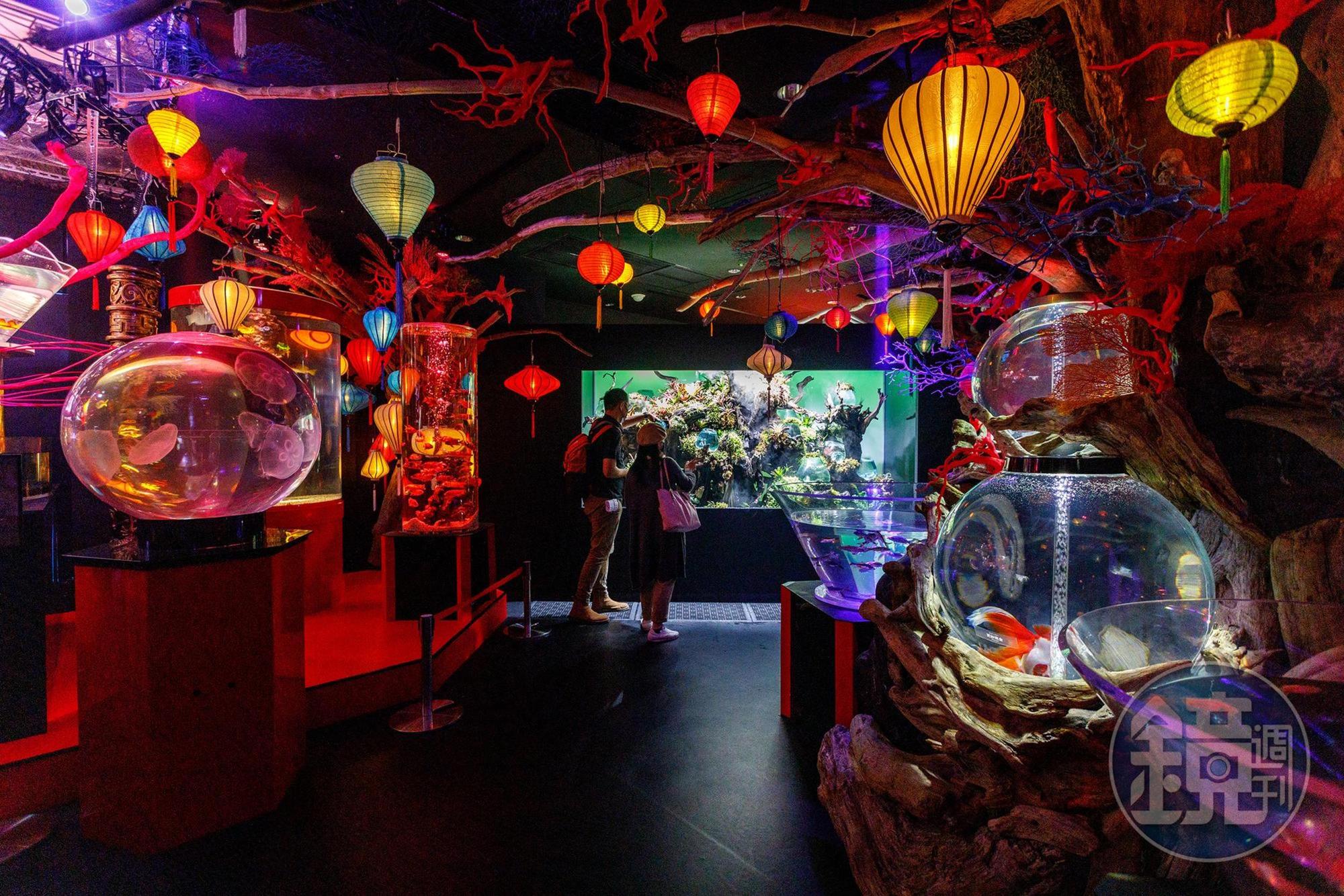 「龍宮」以日本傳說《蒲島太郎》為靈感，透過珊瑚礁與大大小小的水族缸，呈現水下宮殿的空間感。