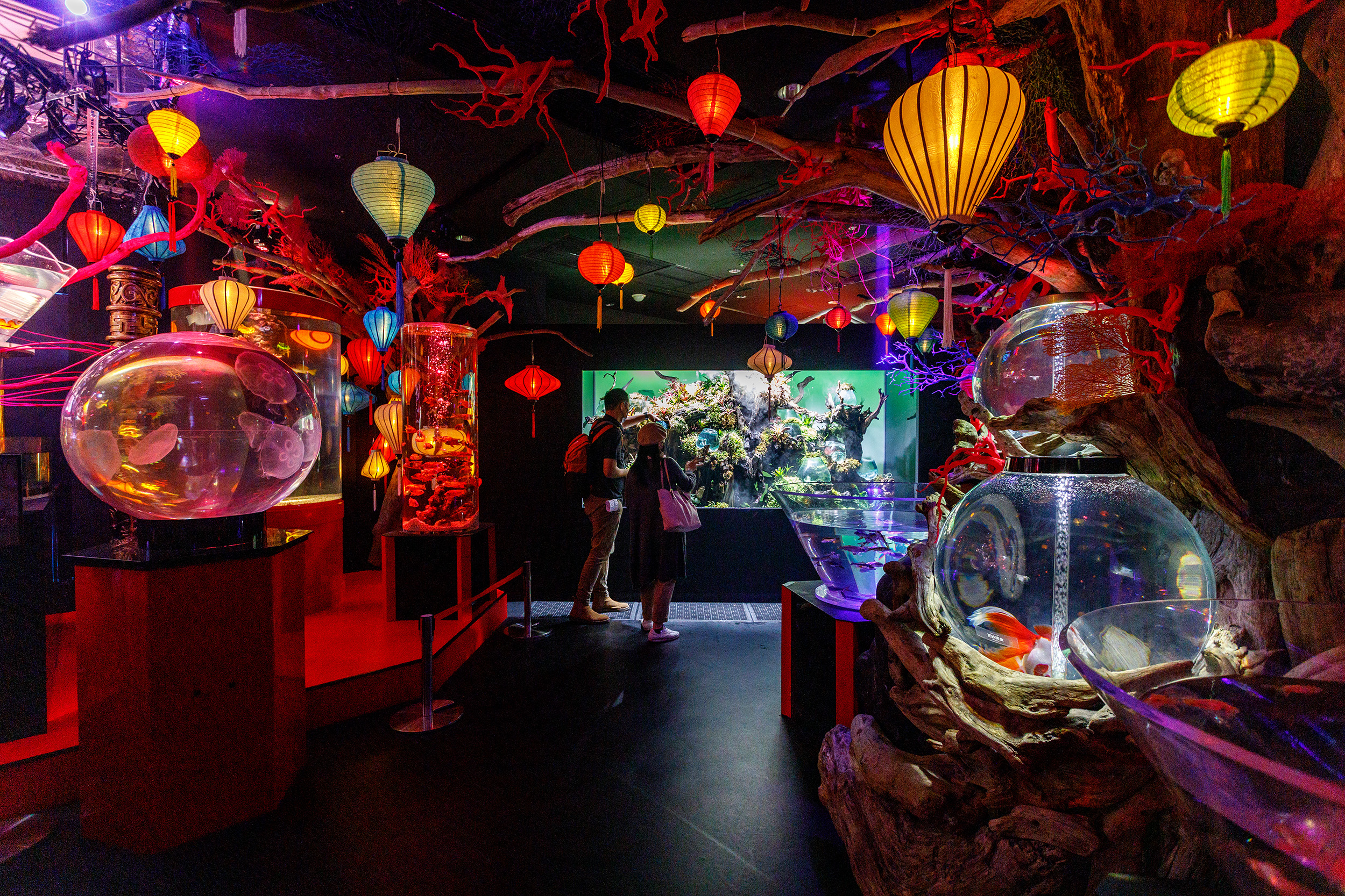 「龍宮」以日本傳說《蒲島太郎》為靈感，透過珊瑚礁與大大小小的水族缸，呈現水下宮殿的空間感。
