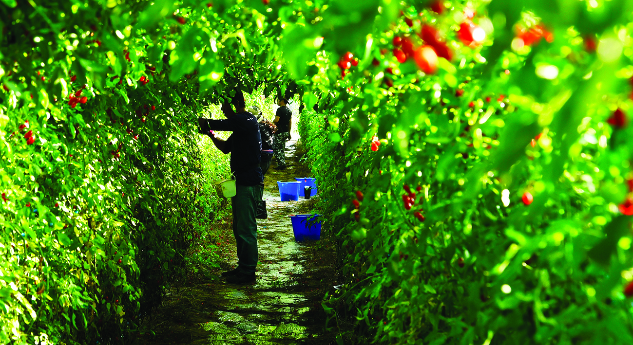 紀錄片《神人之家》首週票房破新台幣百萬元，成為今年台灣紀錄片開片冠軍。（傳影互動提供）  
