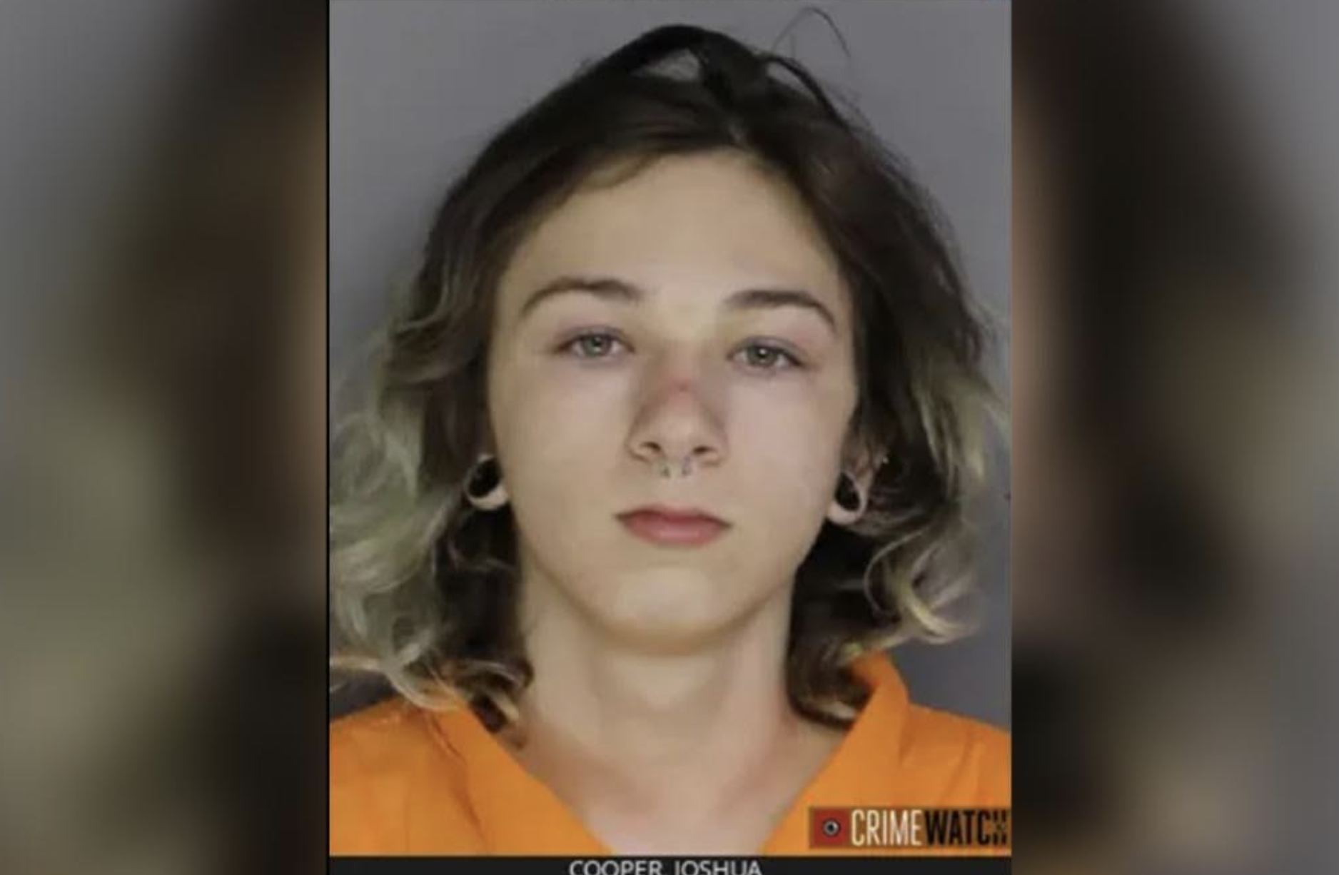 美國賓州16歲少年約書亞庫珀（圖）涉嫌槍殺13歲少女，並求助友人棄屍。（翻攝推特@nypost）