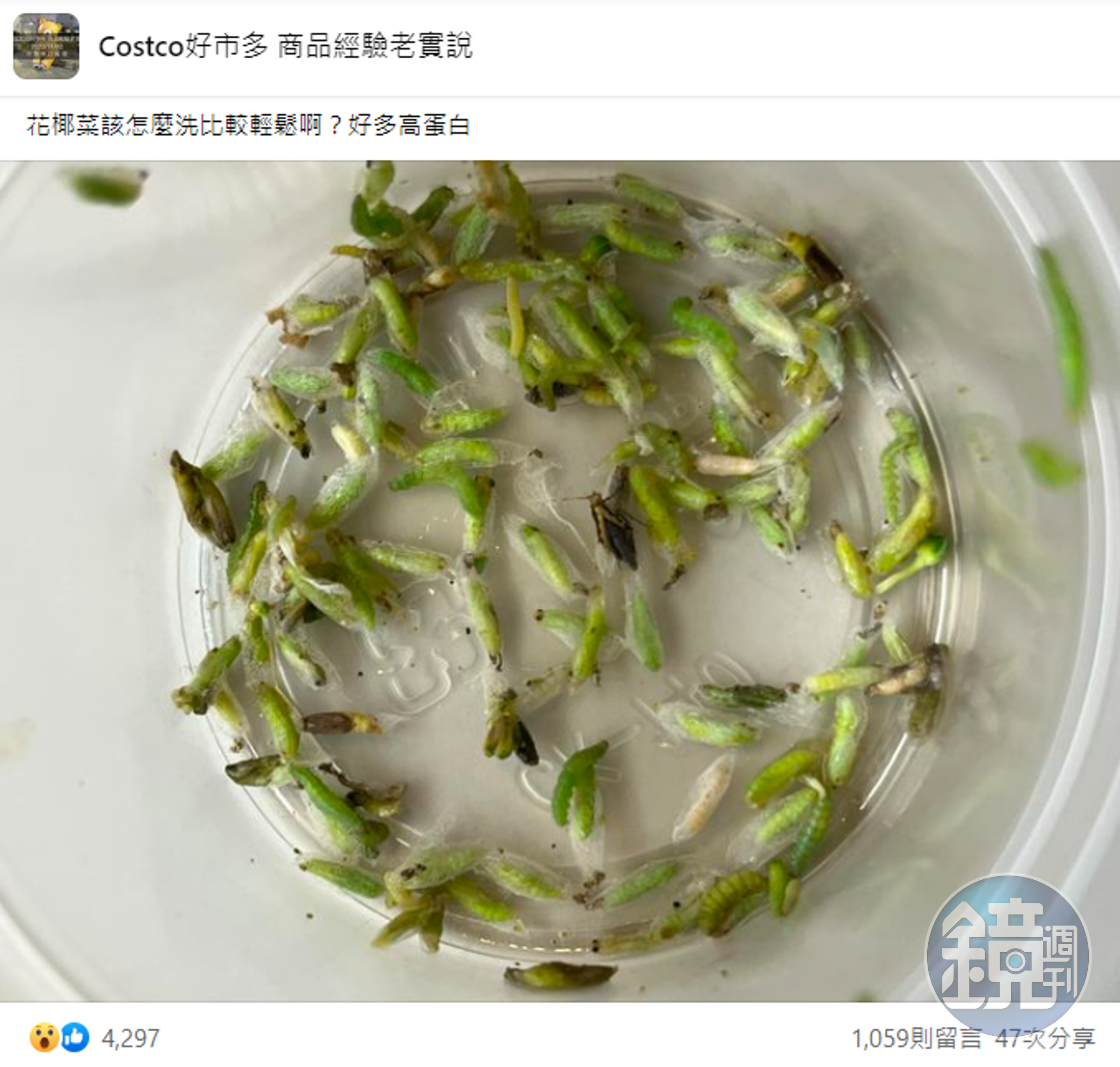 網友洗花椰菜揪出滿滿菜蟲。（翻攝自Costco好市多 商品經驗老實說臉書）