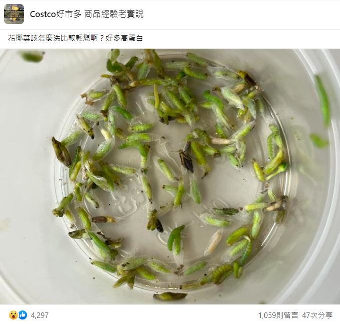 網友洗花椰菜揪出滿滿菜蟲。（翻攝自Costco好市多 商品經驗老實說臉書）