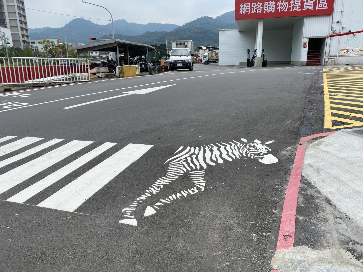 新北市一處斑馬線近日引起熱議,原因是出現整隻「斑馬」。(翻攝自江怡臻臉書)