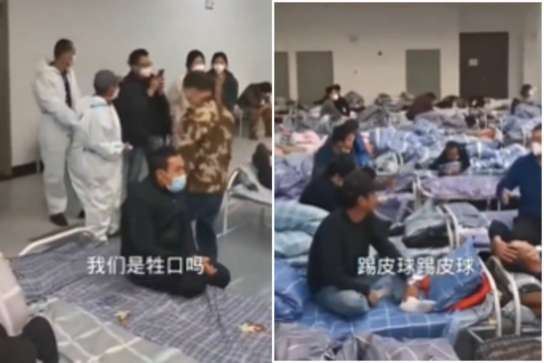 女學生被強拉方艙，撕心裂肺大罵中共官員「當我們是畜牲」。（翻自推特）