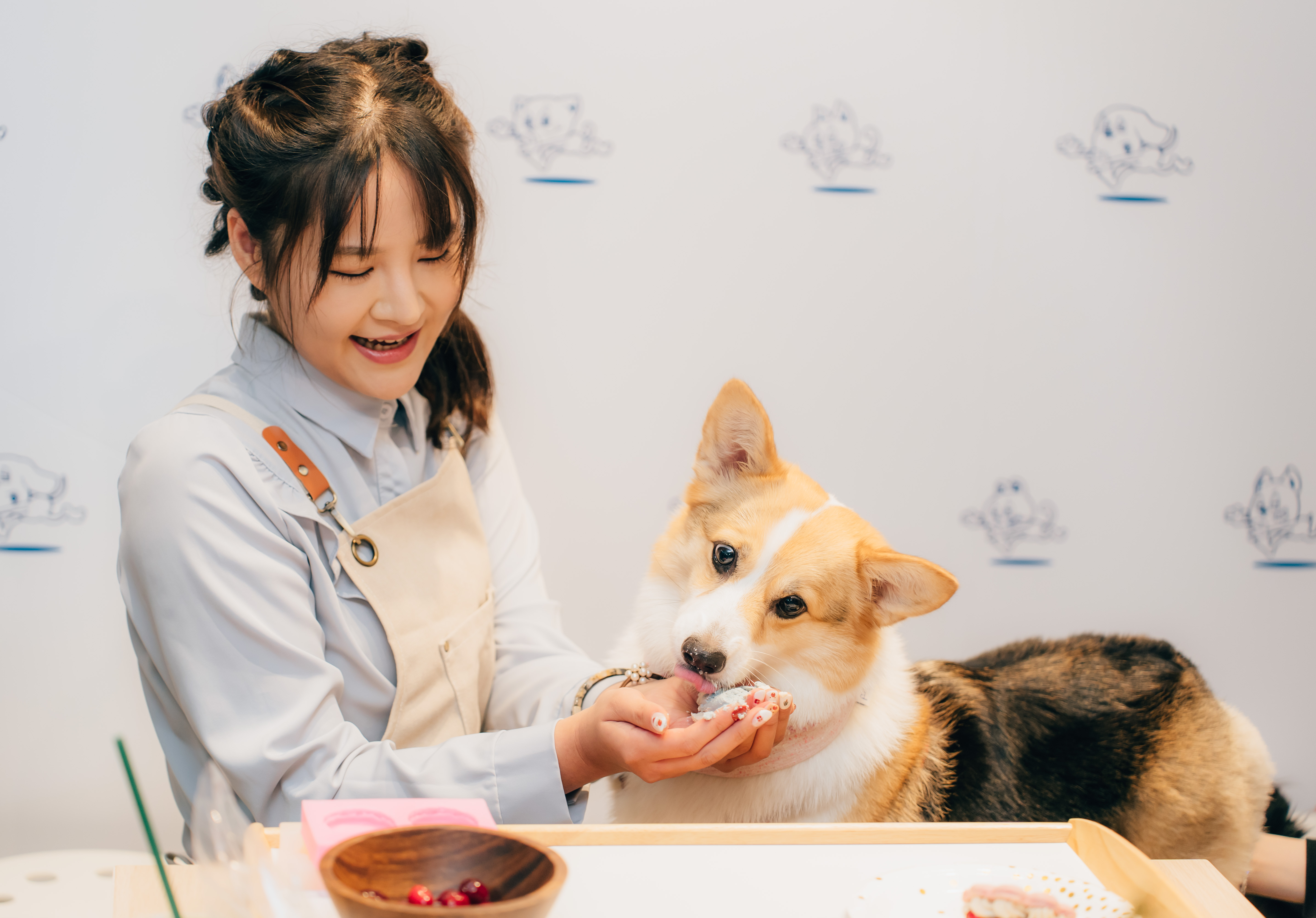 蘇歆媛結合自己的甜點手藝與毛孩營養學，創立毛孩鮮食品牌。（放飯食間提供）