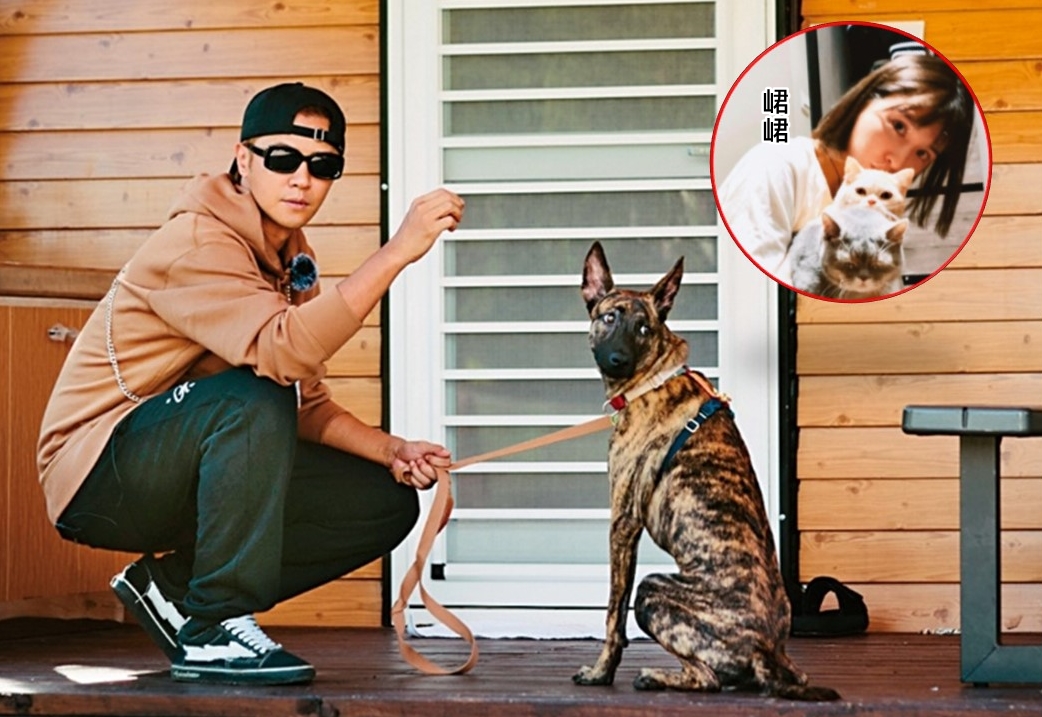 小豬接下實境真人秀節目,跟虎斑浪浪辛巴相處融洽,未來2個月由小豬負責照顧牠。峮峮原本參演《TOP DOG》,但製作單位怕會模糊節目焦點而被換掉。(三立提供、翻攝自峮峮IG)