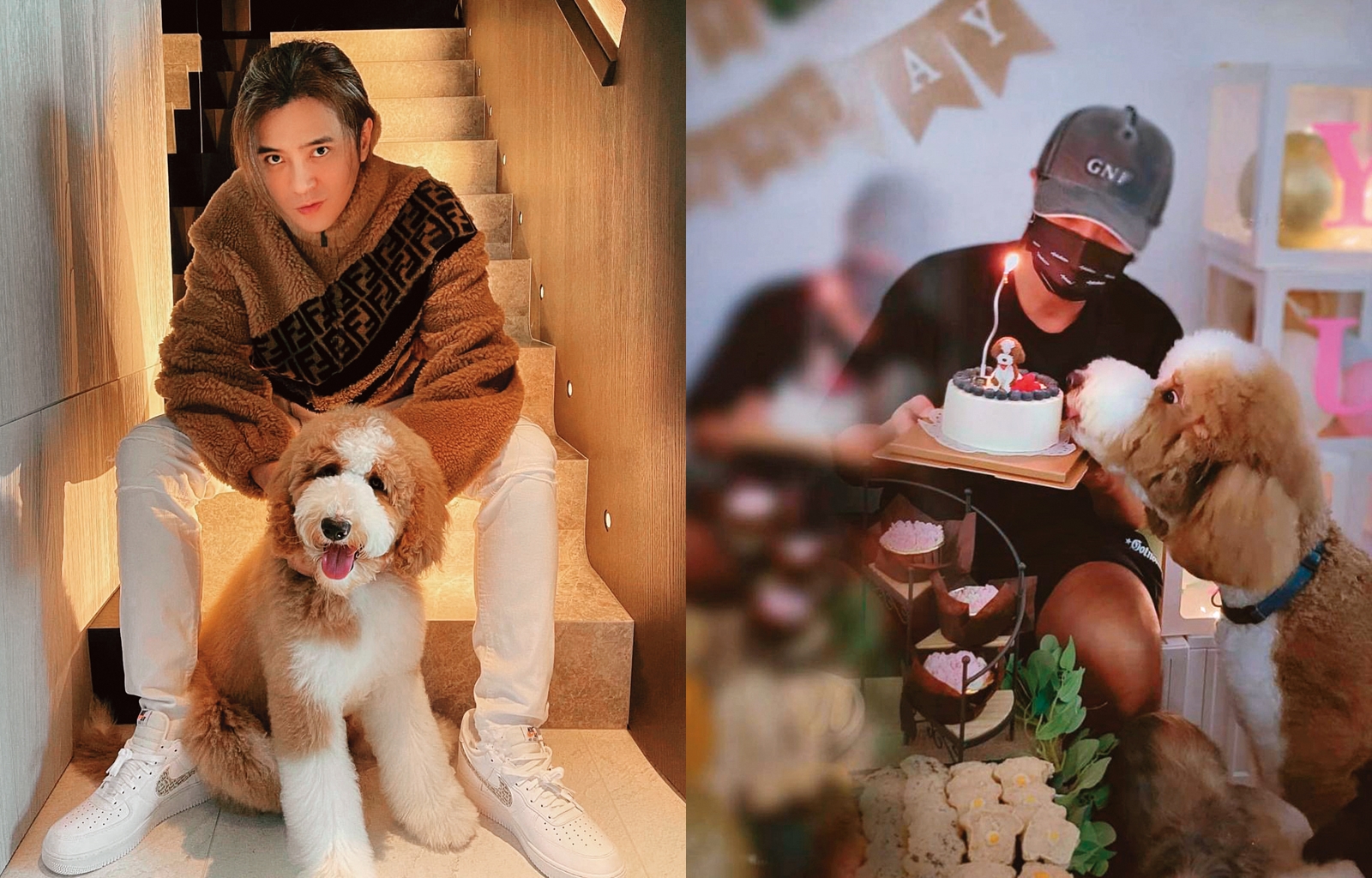 小豬去年領養標準貴賓犬Yuki，並幫狗兒子開設IG，不時把兩父子親子互動放上社群，小豬非常寵愛Yuki，還為狗兒子辦生日會慶生。（翻攝自羅志祥IG）