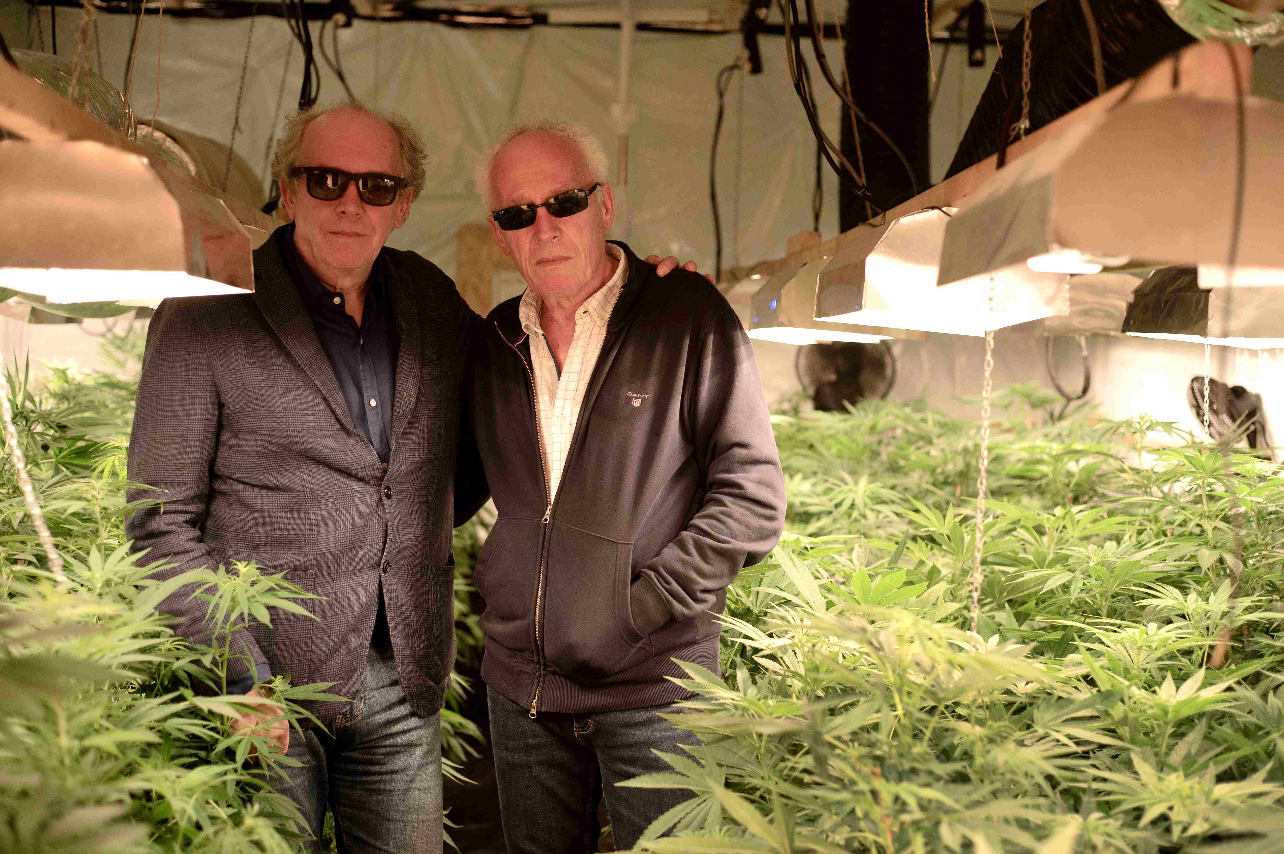 比利時名導「達頓兄弟」新片《有你就是家》中的大麻種植場。(海鵬提供)